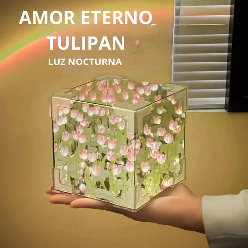 CUBO TULIPAN A PILAS